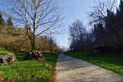 Monte Suchello (1541 m) da Aviatico (1080 m) il 13 aprile 2015  - FOTOGALLERY